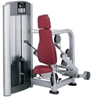 Life Fitness Signature Series Triceps Press Seated Dip
