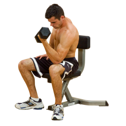 Body Solid Utility Bench