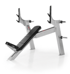 FreeMotion Epic Olympic Incline Bench