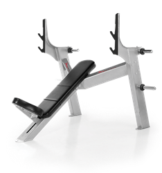 FreeMotion Epic Olympic Incline Bench