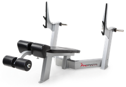 FreeMotion Epic Olympic Decline Bench