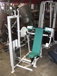Chest Press,incline,pec fly,back extension,used equipment